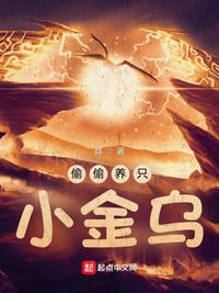 偷偷养只小金乌章节列表