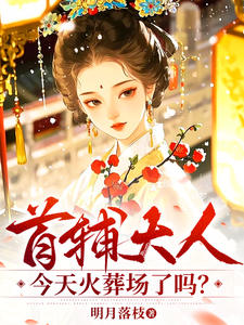 首辅大人今天火葬场了吗？章节列表