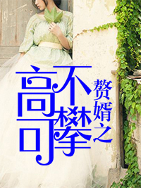 赘婿之高不可攀章节列表